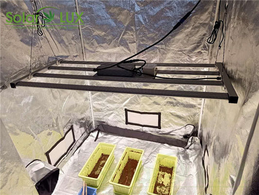 Aluminum Samsung Lm301b Horticulture Led Grow Lights