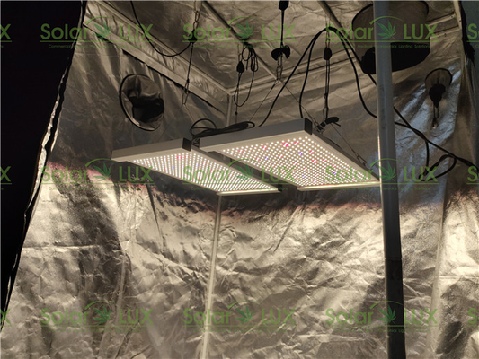 240 Watt Quantum Board Tent 2x2 Led Grow Light