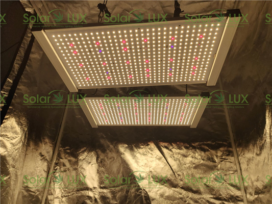 240 Watt Quantum Board Tent 2x2 Led Grow Light