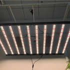 1200W 10Bars Horticulture LED Grow Light 4'x6' Samsung LM301H For Cannabis